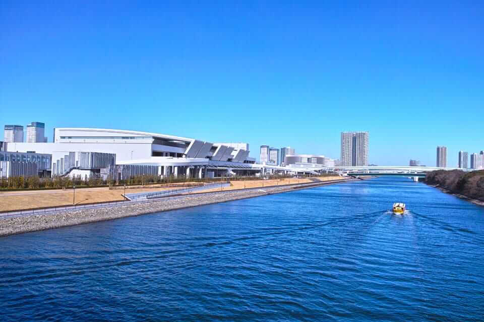 豊洲市場
