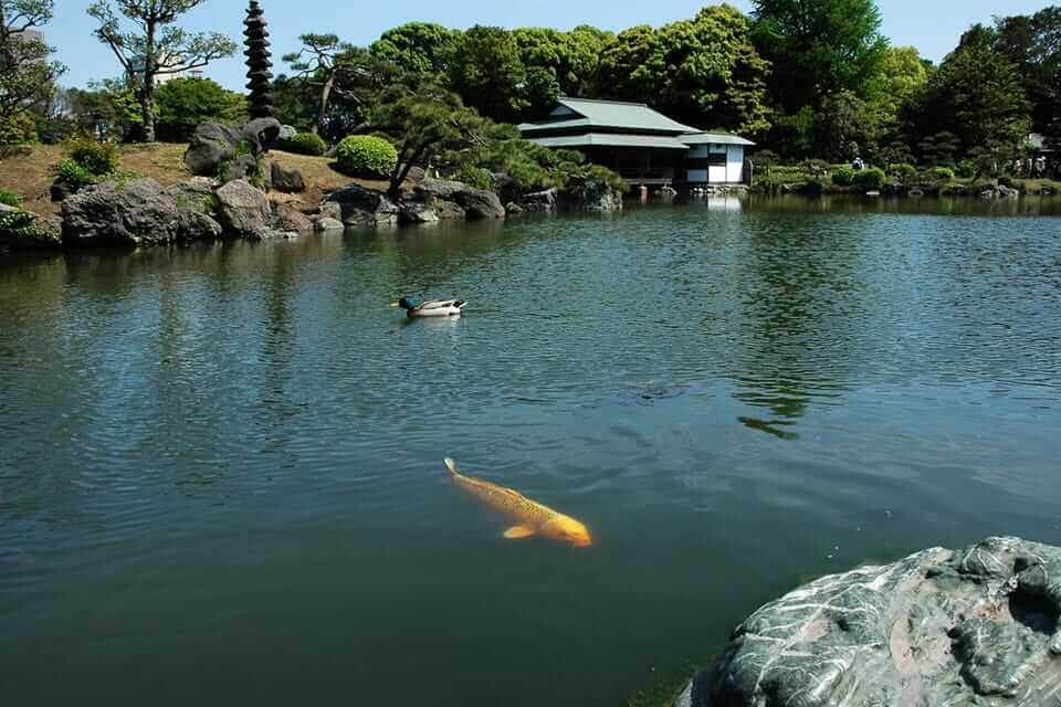 清澄白川庭園