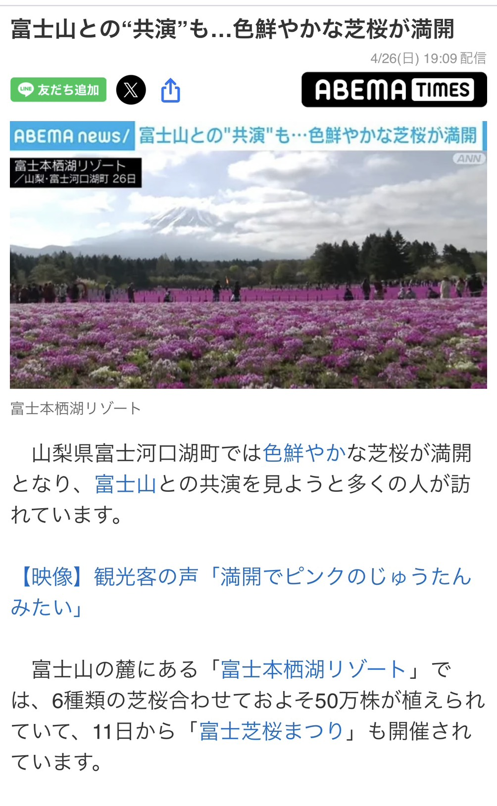 富士山との共演！色鮮やかな芝桜が満開｜2026年春
