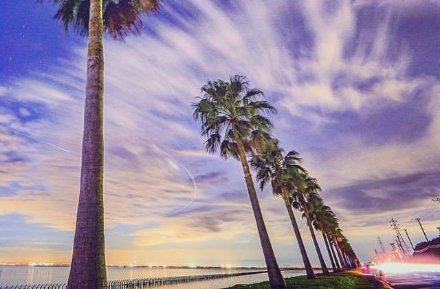 Chibafornia