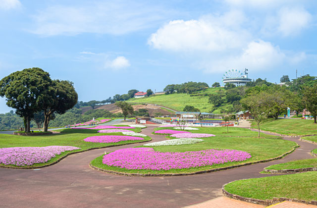 Mother Farm